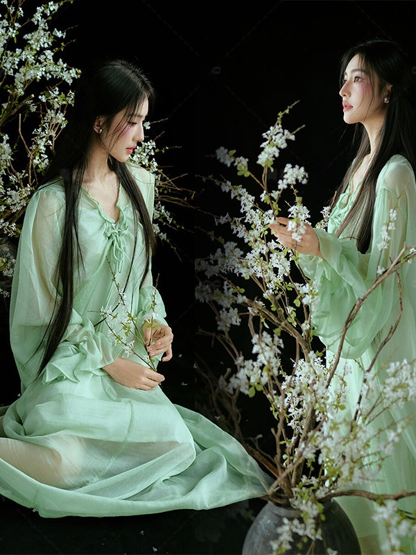 Chinese Style Green Dress Trad - Ethnic Fashion Studio 评论和价格