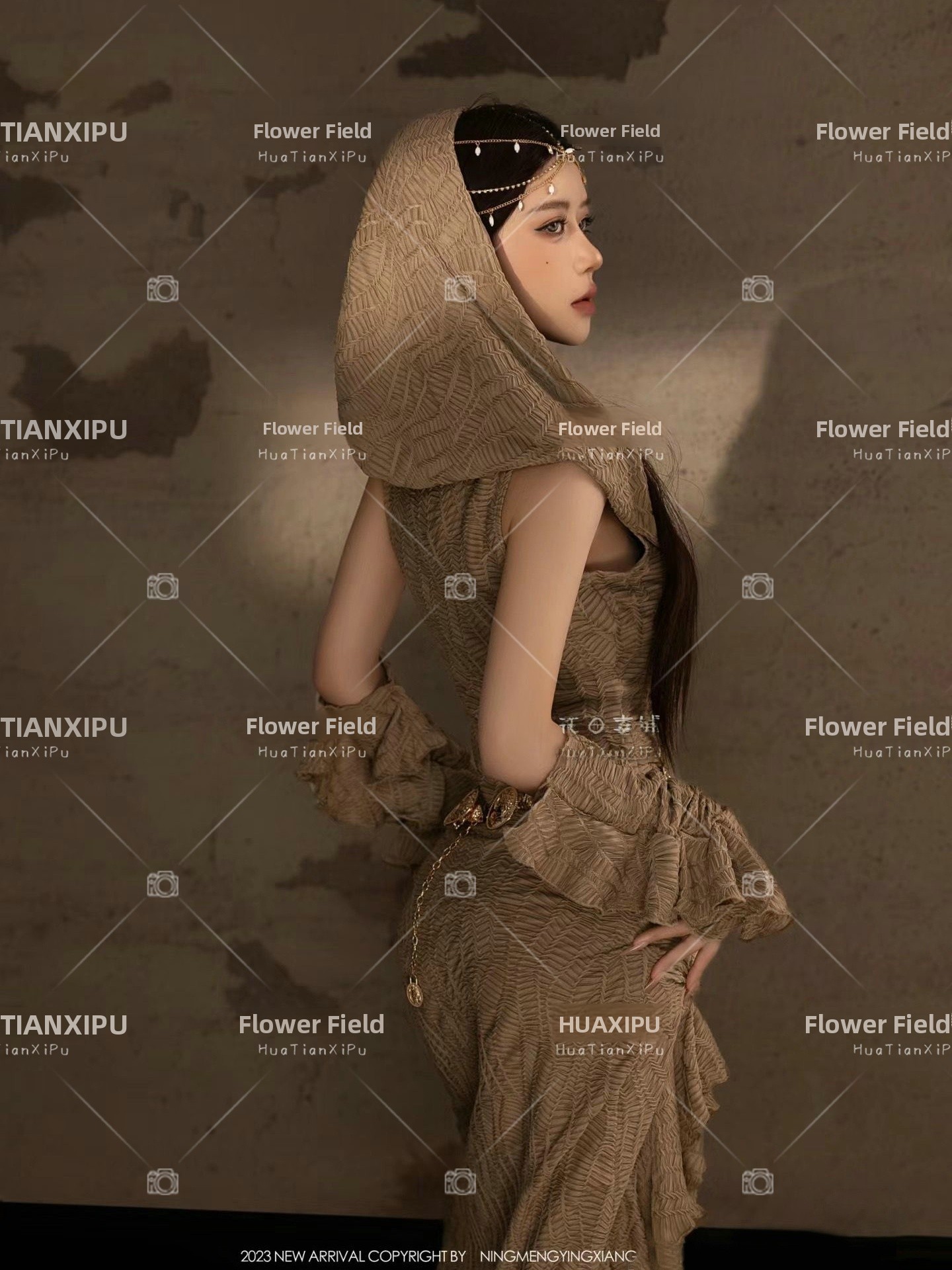New Desert  Princess Style Pho - Ethnic Fashion Studio 评论和价格